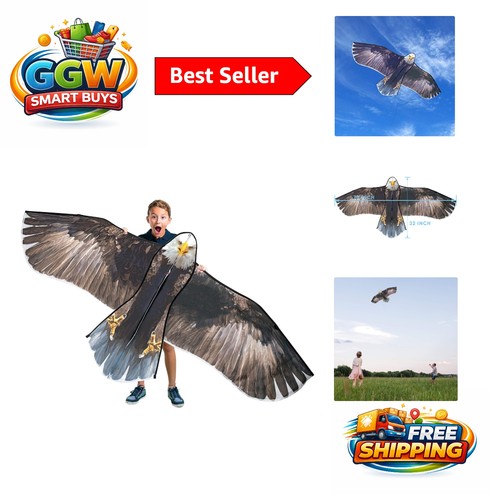 Aquila calva aquilone enorme - aquila,