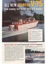 Johnson Motor V75 in piedi a