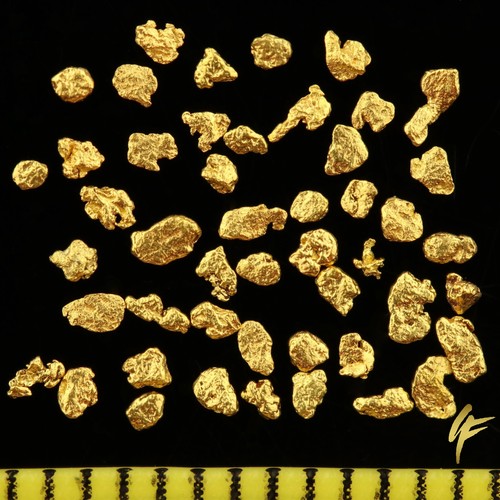 Pepite d oro - 50, vere