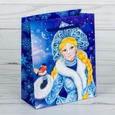 Pacchetto Regalo Natale 23 ×