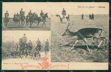 Udine Città Caccia al Daino