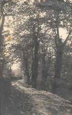 1008) CARTOLINA PASQUA 1925 VIAGGIATA CONTARINA ROVIGO