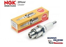 CANDELA PASSO CORTO ORIGINALE