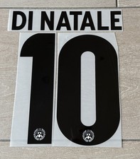 Name and Number Print for