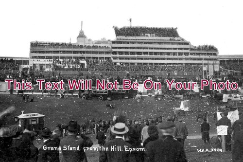 3697 grand stand from - from, the