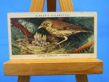 Carta tabacco sigaretta Song Thrush Birds & Their Young John Player & Sons 1937