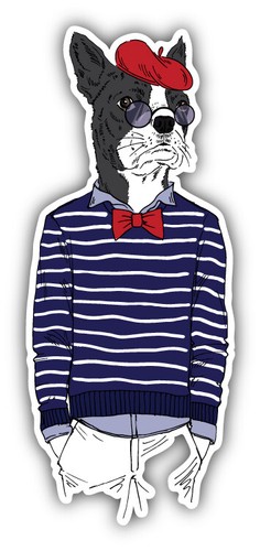 Adesivo decalcomania paraurti