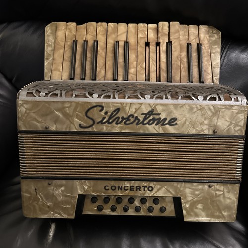 Fisarmonica vintage silvertone - vintage,