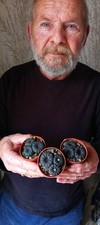 Frailea Castanea Black