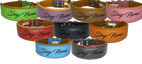 Collare cane personalizzato - , in