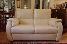 Divano Natuzzi 2posti in pelle