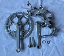 GRUPPO VITTORIA CAMPAGNOLO