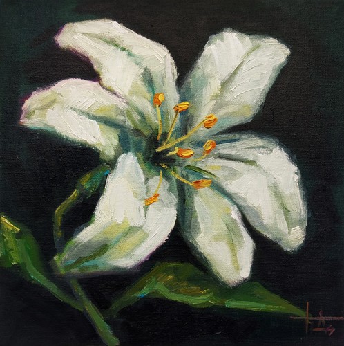 Dipinto olio tela originale - dipinto,