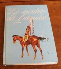 LO SPERDUTO DEL LABRADOR -