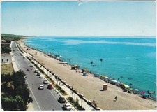 TREBISACCE - COSENZA - RIVIERA - VIAGG. -24391-