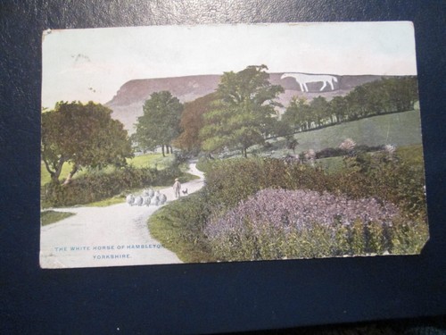 Postcard the white horse - the,