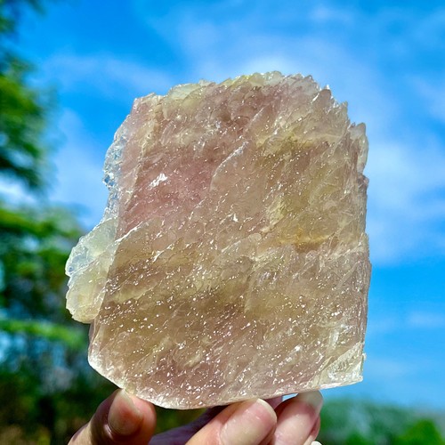 352g petali giallo naturale - 352g,