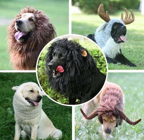 Criniera leone per - per, cani