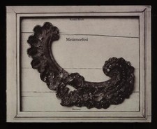 Birolli renato metamorfosi - renato,