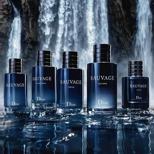 Dior sauvage parfum 100ml - dior,