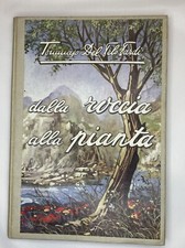 Dalla roccia alla pianta - Tommaso del Pelo Pardi - Tip. Nova Agep 1964
