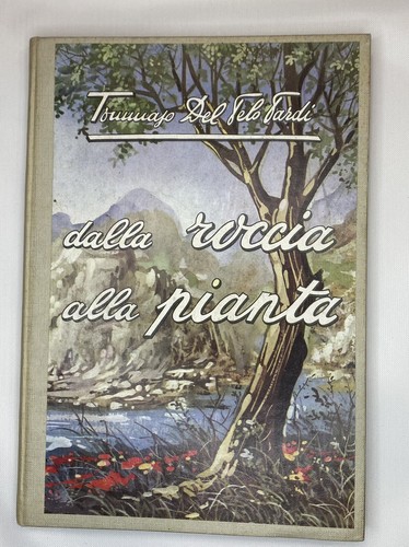 Dalla roccia alla pianta - ,