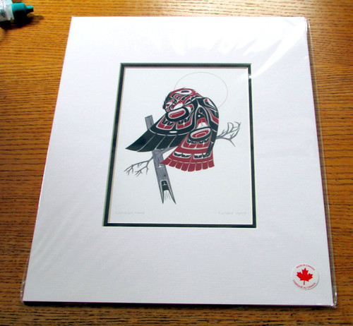 Falco dalla coda rossa - ,
