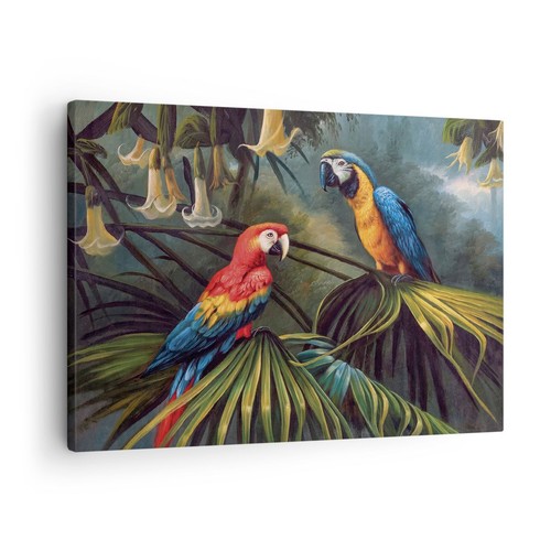 Quadro tela 70x50cm ara - 70x50cm,