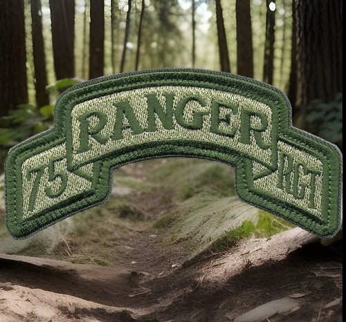 Toppa reggimento ranger - toppa,