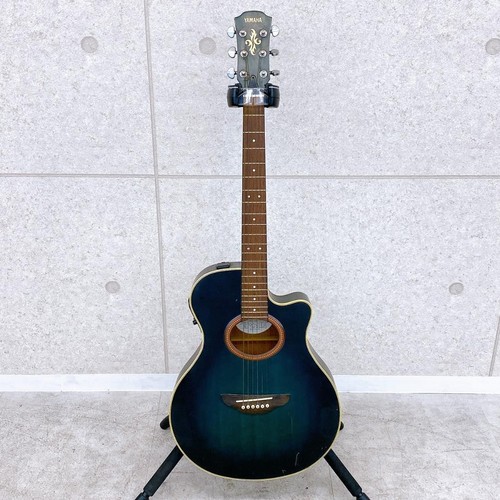 Chitarra elettrica acustica