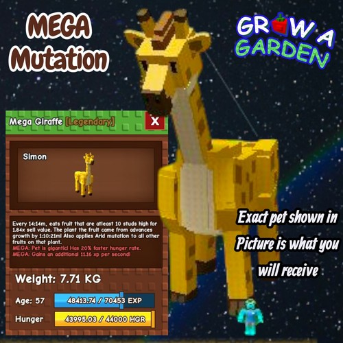 Giraffa mega età peso - mega., età/peso