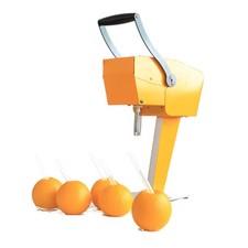 Spremiagrumi Elettrico Frutta