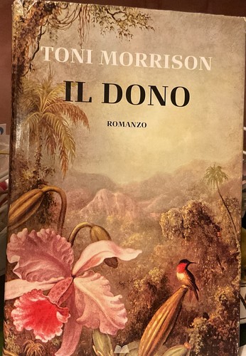 Toni morrison dono - dono, edizione