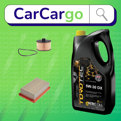 Kit tagliando renault twingo - tagliando,