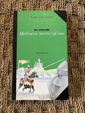 MEDIOEVO MERAVIGLIOSO Ave