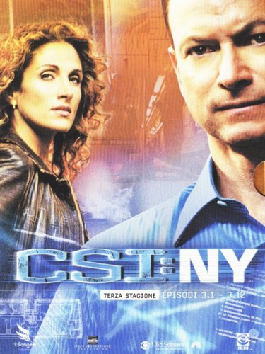 Csi new york terza stagione - ,