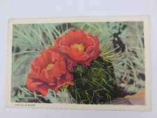 Cartolina d'epoca in lino