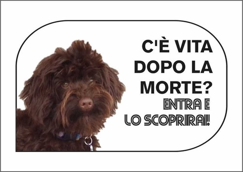 Cartello segnaletico lagotto - cartello,