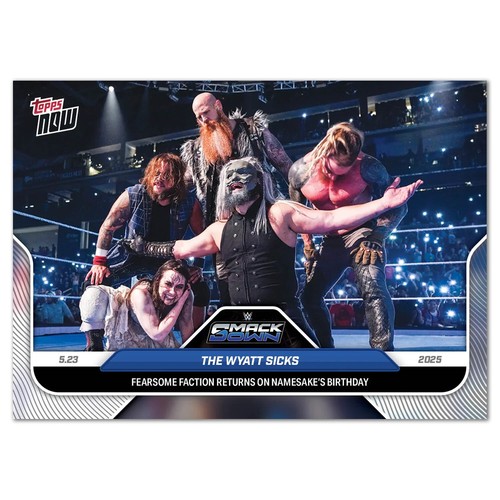 Topps wwe wrestling 2025 - topps,