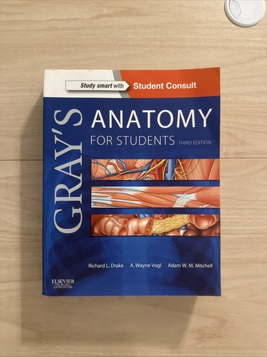 Gray anatomy ser s - anatomy, gray's