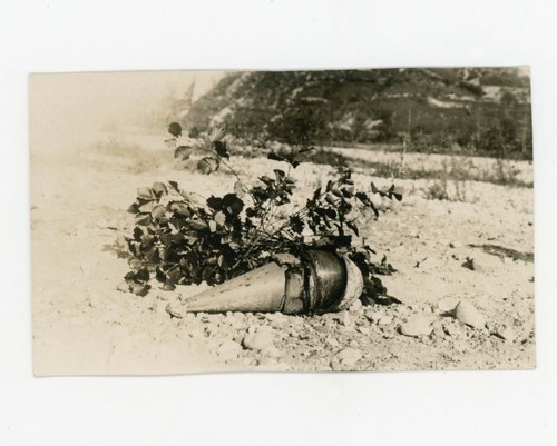 Grande guerra carbonit - guerra,