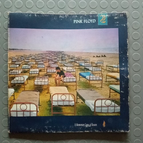 Pink floyd momentary lapse - pink, a