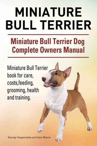 Miniature bull terrier - miniature,