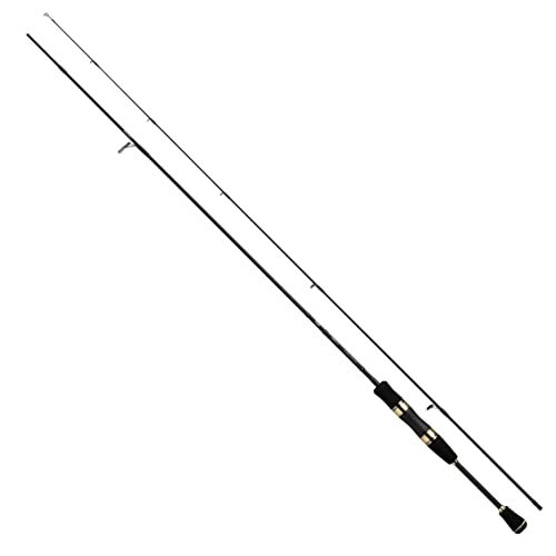 Daiwa canna spinning trota - canna,