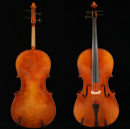 Violoncello stradivari dal - stradivari, 7/8