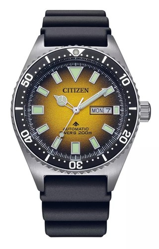 Modello overseas citizen - overseas,