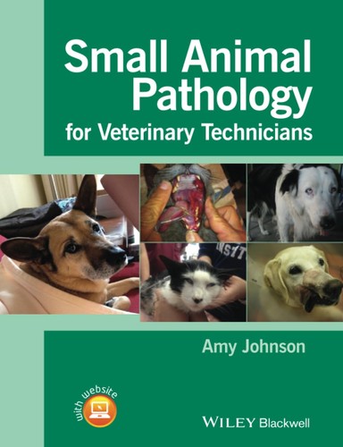 Small animal pathology - small,