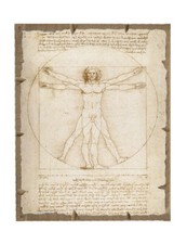Leonardo Uomo Vitruviano