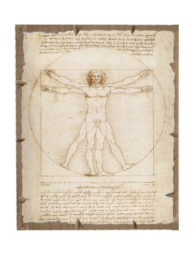 Leonardo uomo vitruviano - leonardo,