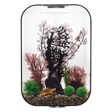 Oasi biOrb LIFE 60 MCR Nero